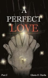 bokomslag A Perfect Love