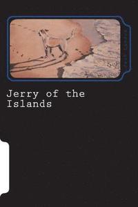 bokomslag Jerry of the Islands