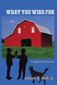 bokomslag What You Wish For: A Walker Farm Mystery