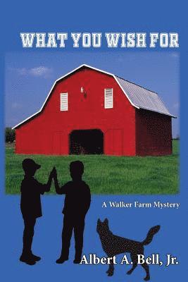 bokomslag What You Wish For: A Walker Farm Mystery