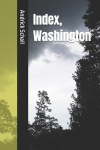 bokomslag Index, Washington