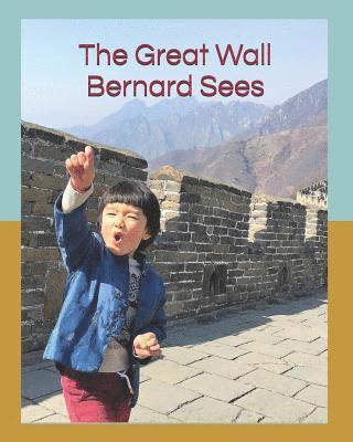 bokomslag The Great Wall Bernard Sees