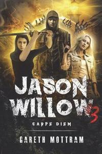bokomslag Jason Willow 3