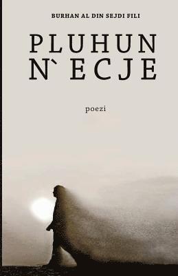 bokomslag Pluhun n'Ecje: Poezi