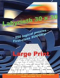bokomslag Labyrinth 30 X 30 - 250 Logical Puzzles - First-Class Sudoku: Large Print + Solutions + Bonus 250 Classic Killer Sudoku Puzzles Anti-Diagonal - Levels