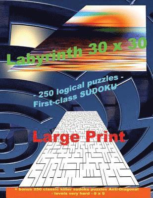 Labyrinth 30 X 30 - 250 Logical Puzzles - First-Class Sudoku: Large Print + Solutions + Bonus 250 Classic Killer Sudoku Puzzles Anti-Diagonal - Levels 1