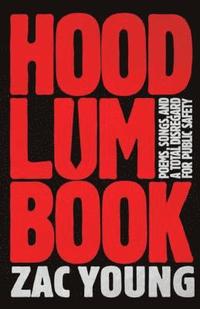 bokomslag Hoodlum Book