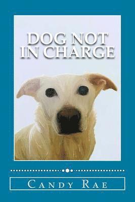 bokomslag Dog Not in Charge