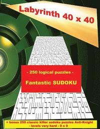bokomslag Labyrinth 40 x 40 - 250 logical puzzles - Fantastic SUDOKU