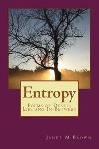 bokomslag Entropy: Poems of Death, Life and Everything on the Outside