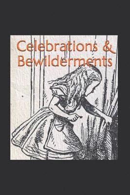 bokomslag Celebrations & Bewilderments