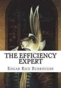 bokomslag The Efficiency Expert
