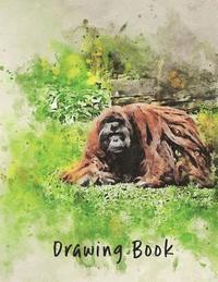 bokomslag Drawing Book: Orangutang