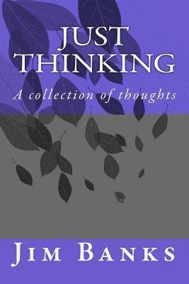 Jim Banks - Just Thinking: A collection of serious thoughts, Häftad