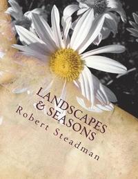 bokomslag Landscapes & Seasons