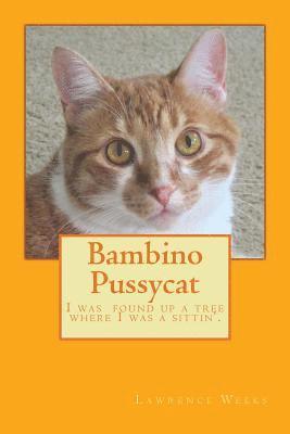 bokomslag Bambino Pussycat