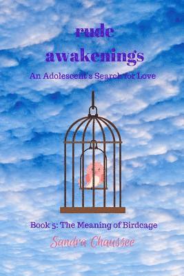 bokomslag Rude Awakenings: An Adolescent's Search for Love
