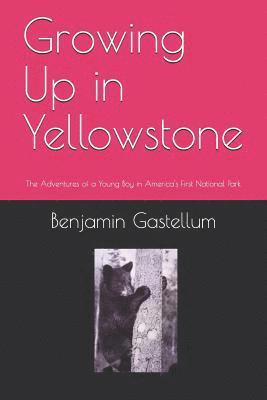 bokomslag Growing Up in Yellowstone: The Adventures of a Young Boy in America's First National Park