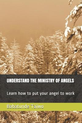 bokomslag Understand the Ministry of Angels: Learn how to put your angel to work
