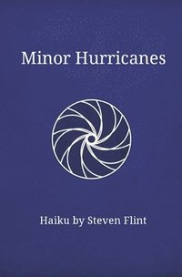 bokomslag Minor Hurricanes