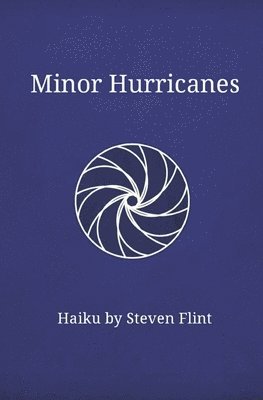 bokomslag Minor Hurricanes