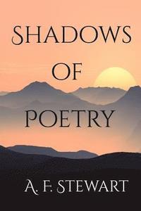 bokomslag Shadows of Poetry