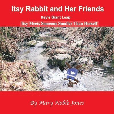 Itsy's Giant Leap: Itsy Rabbit and Her Friends 1