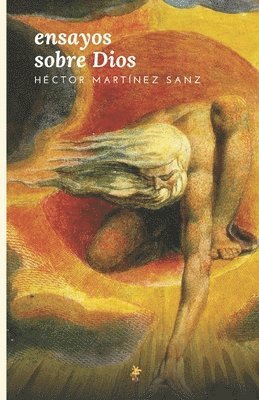 Héctor Martínez Sanz - Ensayos sobre Dios, Häftad