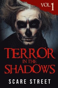 bokomslag Terror in the Shadows