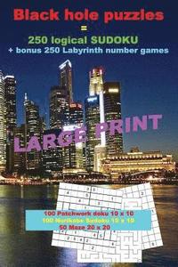 bokomslag Black hole puzzles = 250 logical SUDOKU + bonus 250 Labyrinth number games