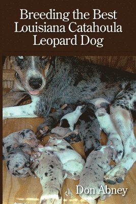 Breeding the Best Louisiana Catahoula Leopard Dog 1