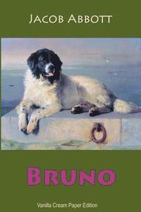 bokomslag Bruno