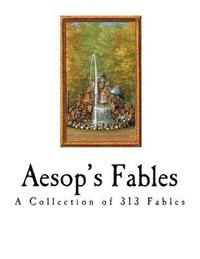 bokomslag Aesop's Fables: The Aesopica