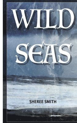 bokomslag Wild Seas