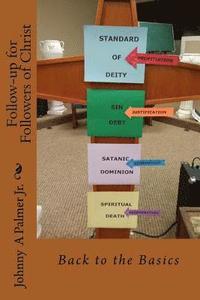 bokomslag Back to the Basics: Follow-up for Followers of Christ