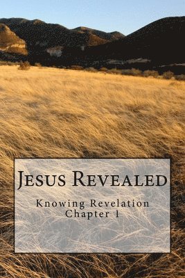 Bob James - Jesus Revealed: Knowing Revelation, Häftad