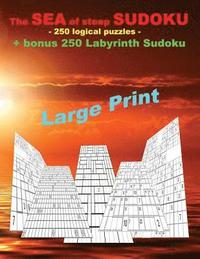 bokomslag SEA of steep SUDOKU - 250 logical puzzles + bonus 250 Labyrinth sudoku