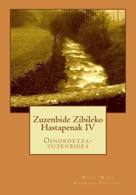 bokomslag Zuzenbide Zibileko Hastapenak IV: Oinordetza-Zuzenbidea