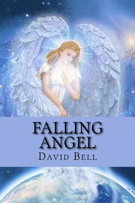 bokomslag Falling Angel