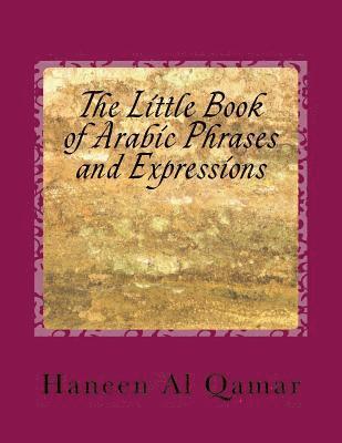 bokomslag The Little Book of Arabic Phrases and Expressions