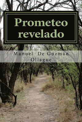 Manuel de Guzman Ollague - Prometeo revelado: Meditaciones metafisicas y filosoficas, Häftad