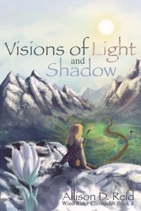 bokomslag Visions of Light and Shadow