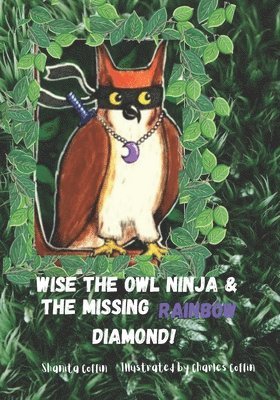 bokomslag Wise The Owl Ninja and the Missing Rainbow Diamond