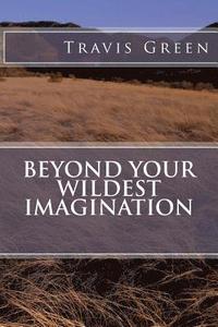 bokomslag Beyond Your Wildest Imagination