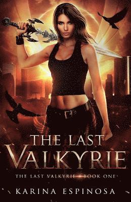 bokomslag The Last Valkyrie