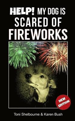 Help! My Dog is Scared of Fireworks 1