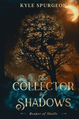 The Collector of Shadows 1