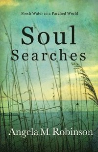 bokomslag Soul Searches: Fresh Water in a Parched World
