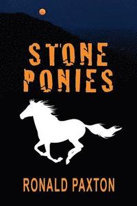 bokomslag Stone Ponies