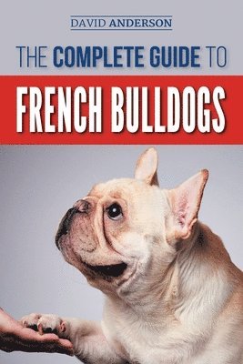 bokomslag Complete Guide to French Bulldogs